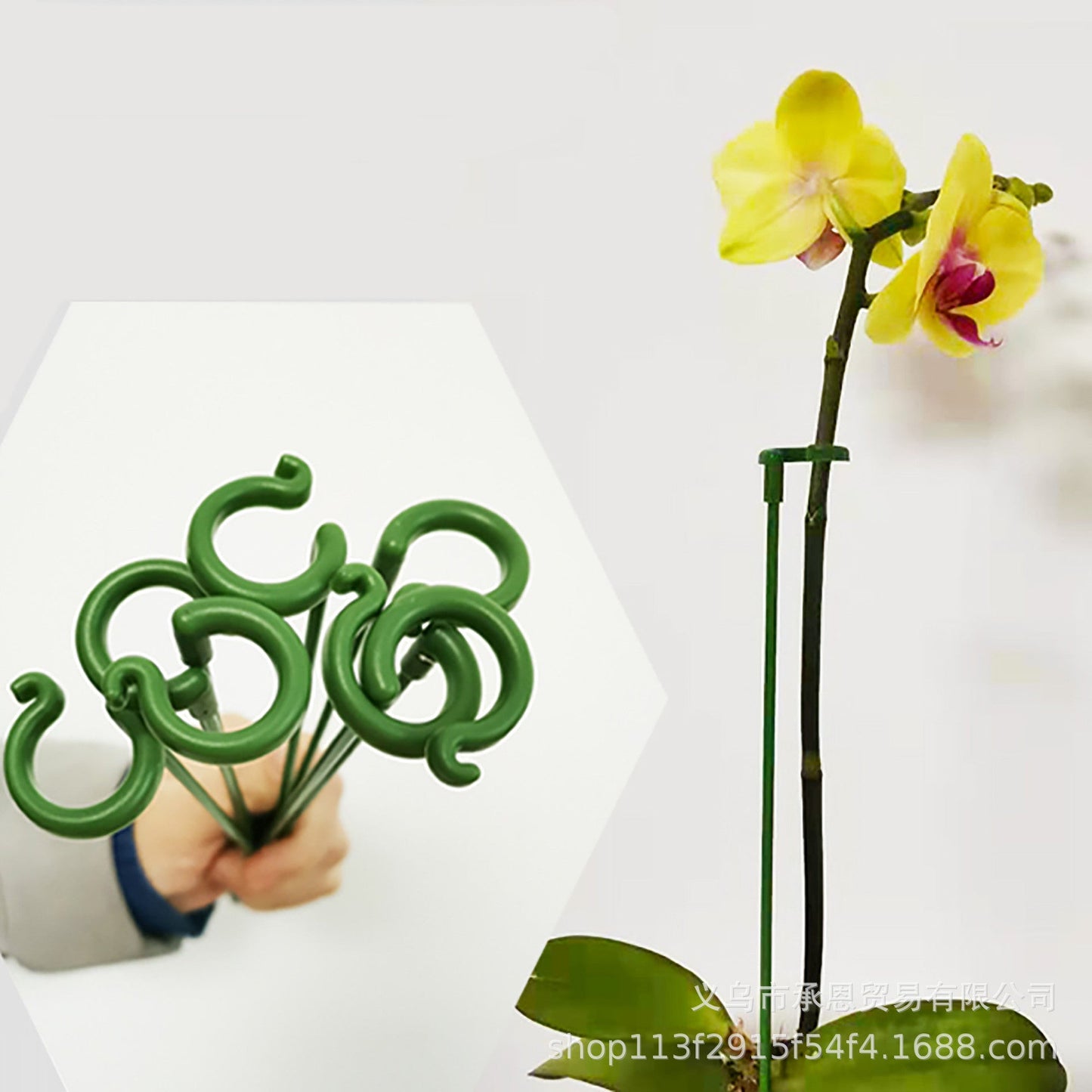 10 Pcs Mini Portable Plant Holder